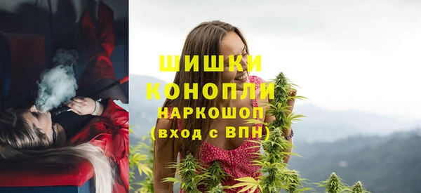 стаф Абинск