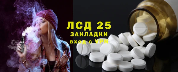 стаф Абинск
