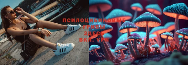 дживик Алзамай