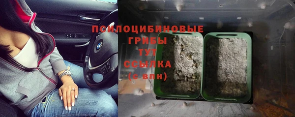 молекула духа Абдулино