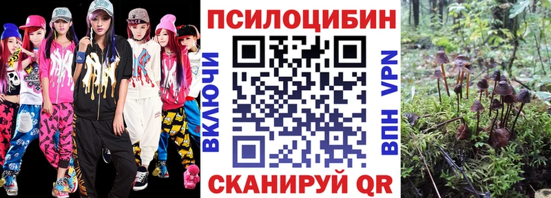 kraken вход  Красавино  Галлюциногенные грибы прущие грибы 
